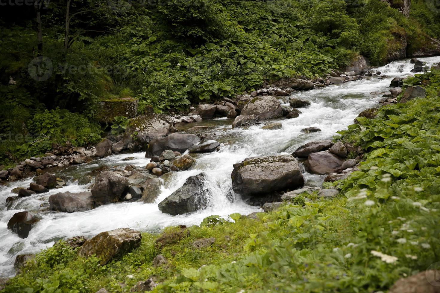 Schwarzes Meer, Rize Cat Creek Village, Truthahn, Aussicht foto