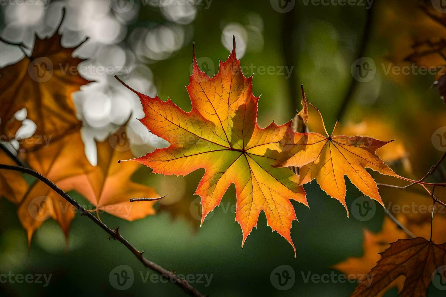 Herbst Blätter, Herbst, Herbst Blätter, Herbst Blätter, Herbst Blätter, Herbst Blätter, Herbst. KI-generiert foto