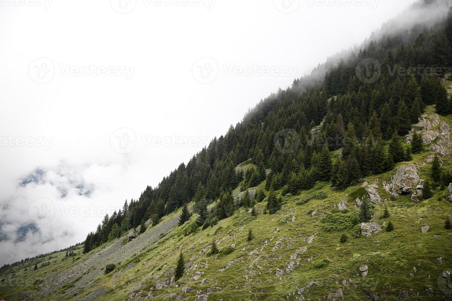 Schwarzes Meer Rize Elevit Hochebene Hochebene Häuser, Truthahn, Hochebene Aussicht foto