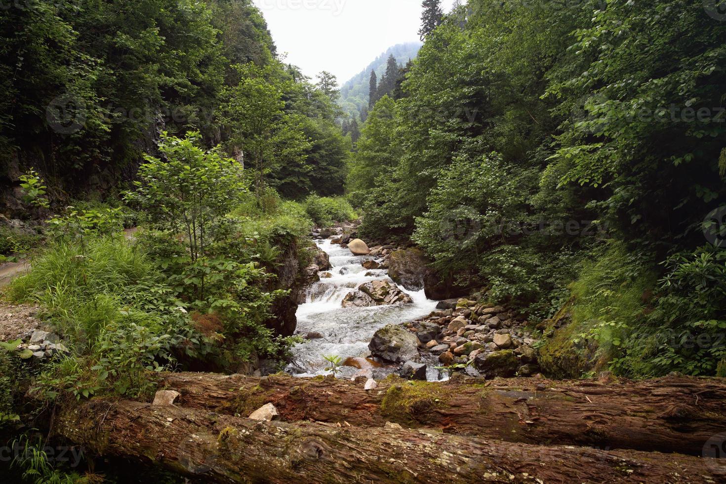 Schwarzes Meer Rize Cat Village Stream, Truthahn, Plateauansicht foto