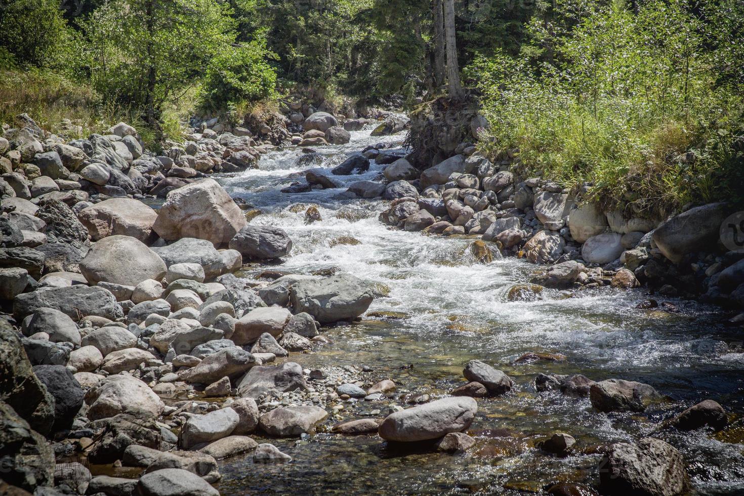 Firtina Stream, Rize, Schwarzes Meer, Truthahn foto