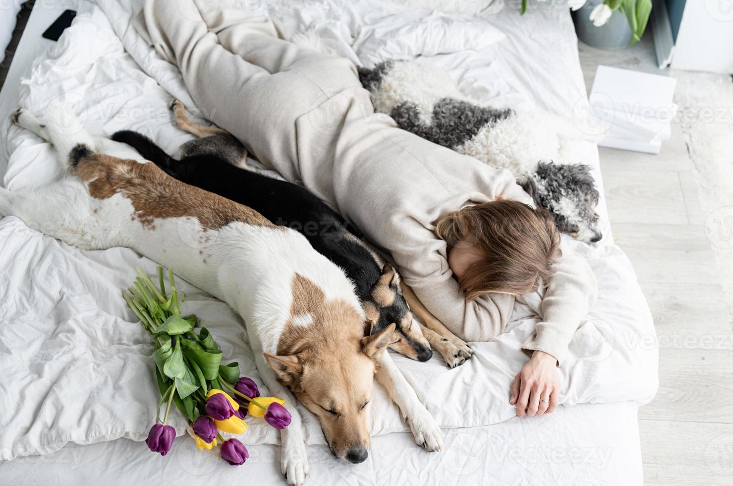 junge Frau im Schlafanzug, die mit ihren Hunden im Bett liegt foto