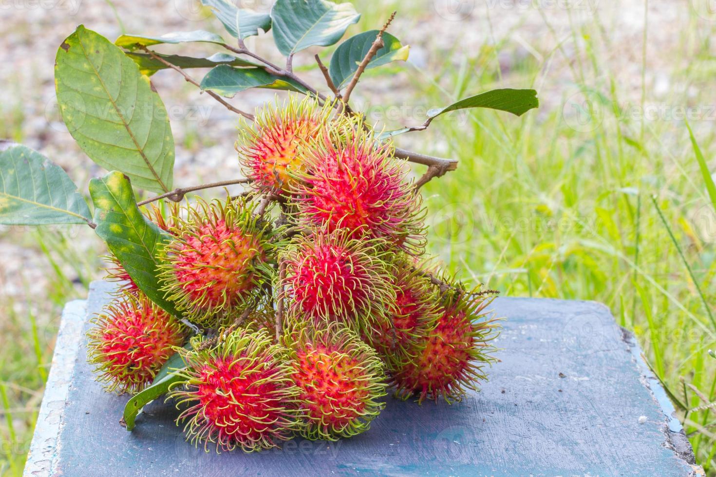 frische Rambutans auf blauer Bank, mit Exemplar rechts foto