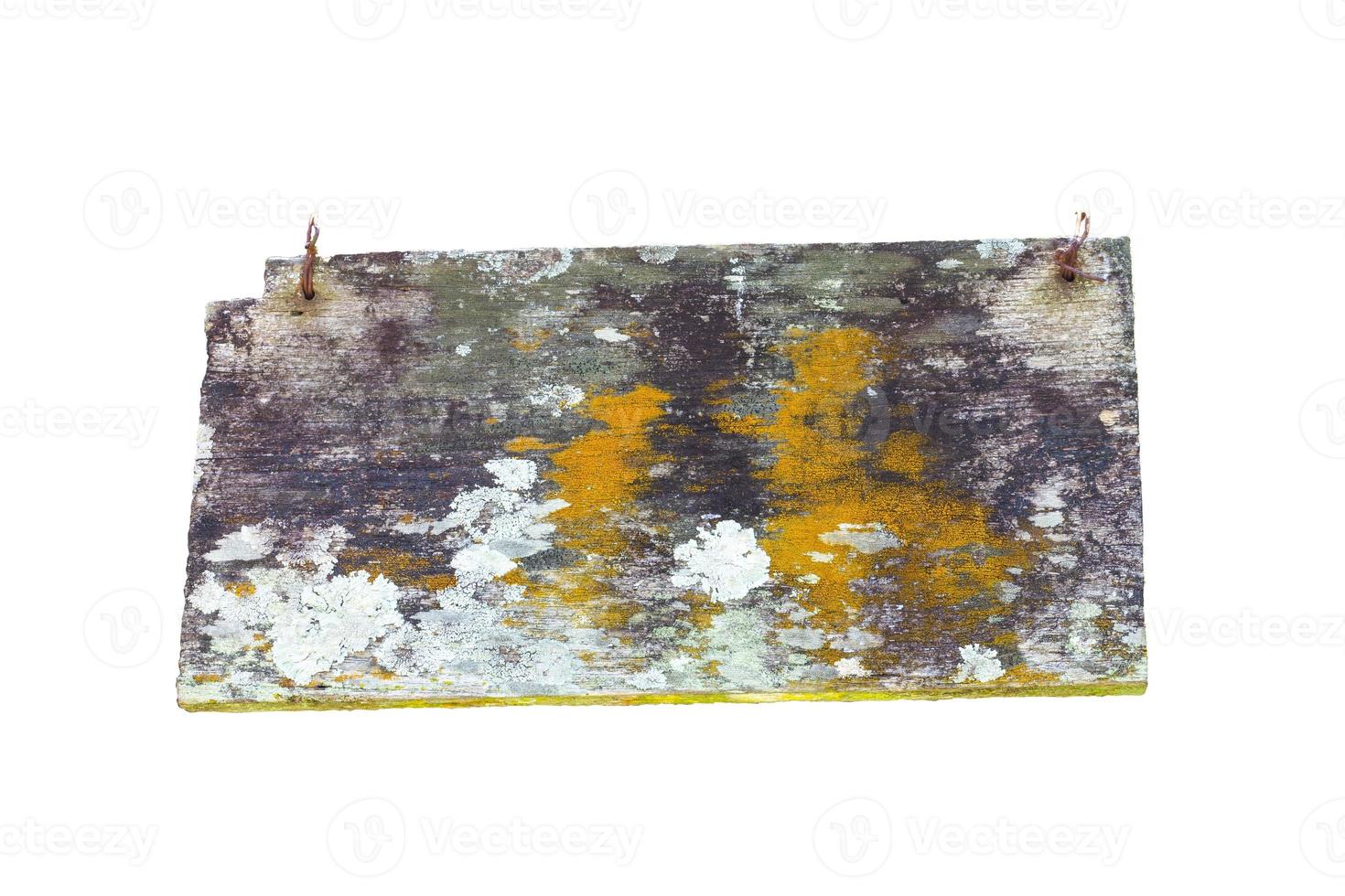 altes Holz mit Moos und Pilzen isoliert auf weißem Hintergrund foto