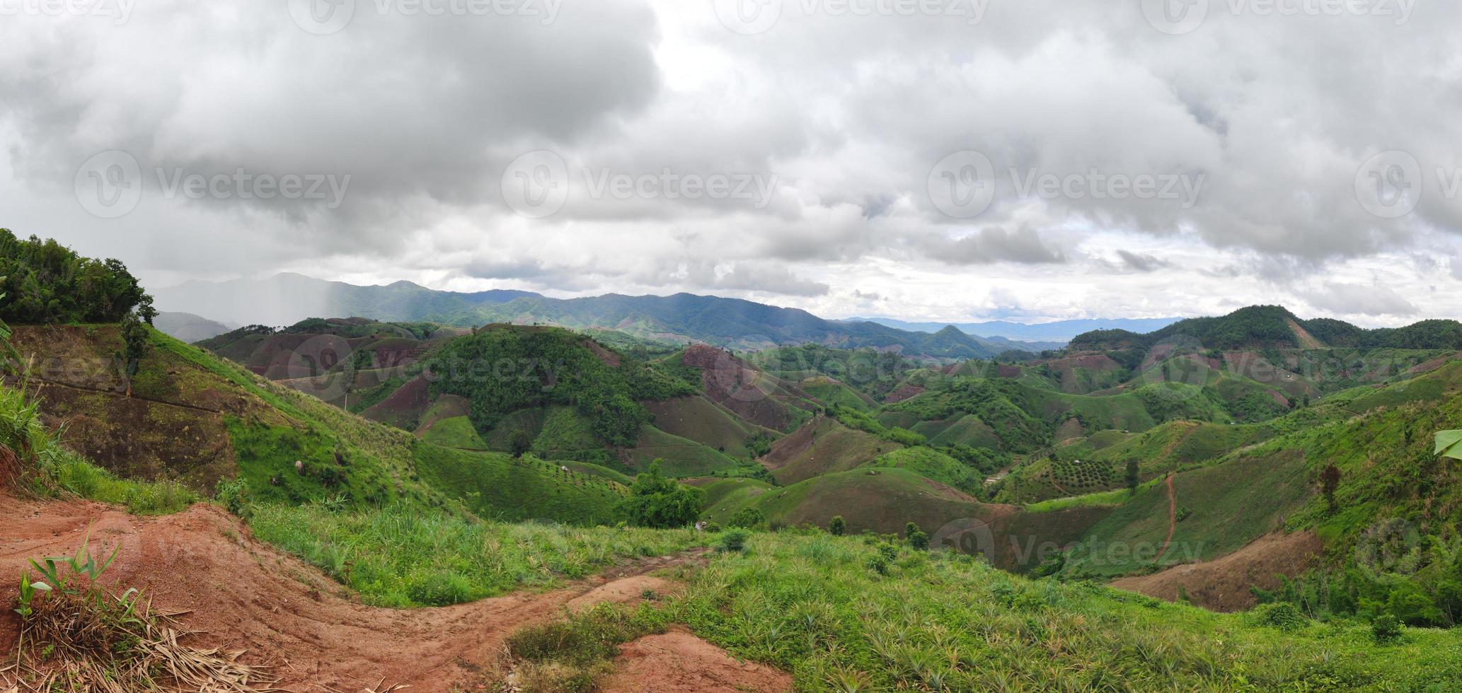 Panorama des Regenwaldes für Reisfeld zerstört foto