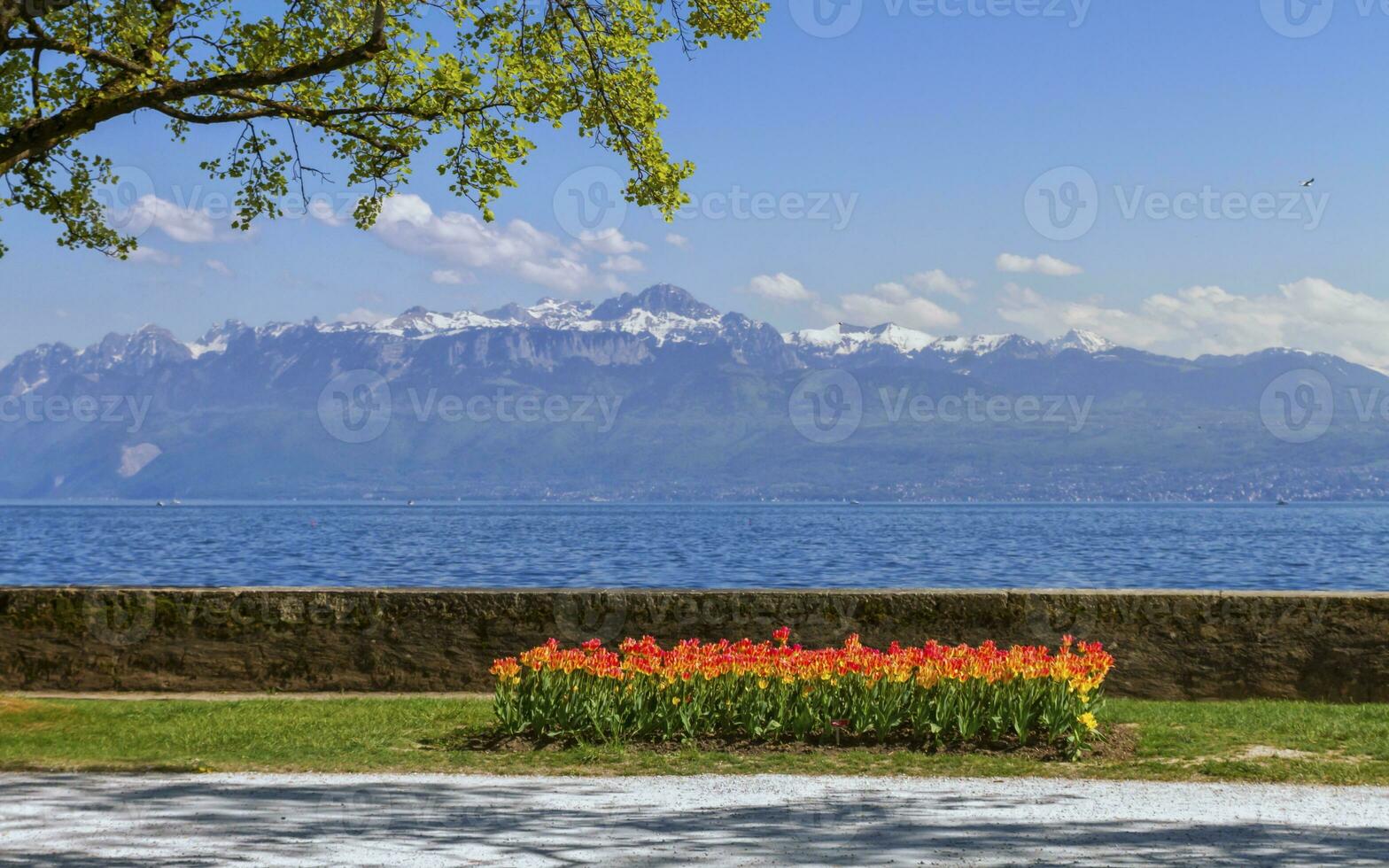 Tulpe Festival im Frühling durch Tag, Morges, Schweiz foto