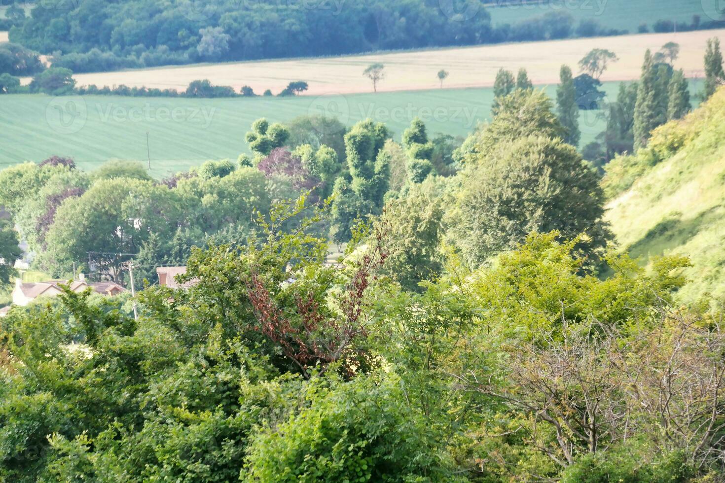 die meisten schön britisch Landschaft Landschaft beim Spitzer Klöppel Senke von England Luton, Vereinigtes Königreich. Bild war gefangen auf Juni 24., 2023 foto