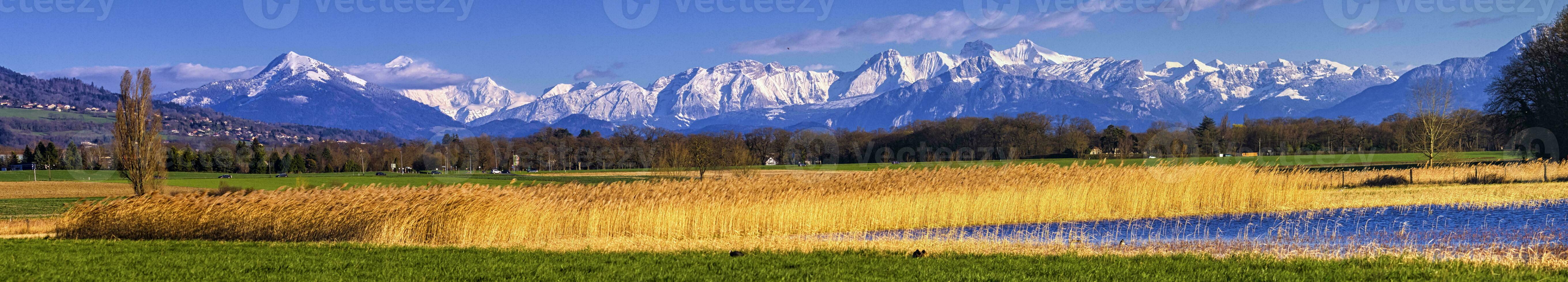 Bison Laden - - 3d machen foto