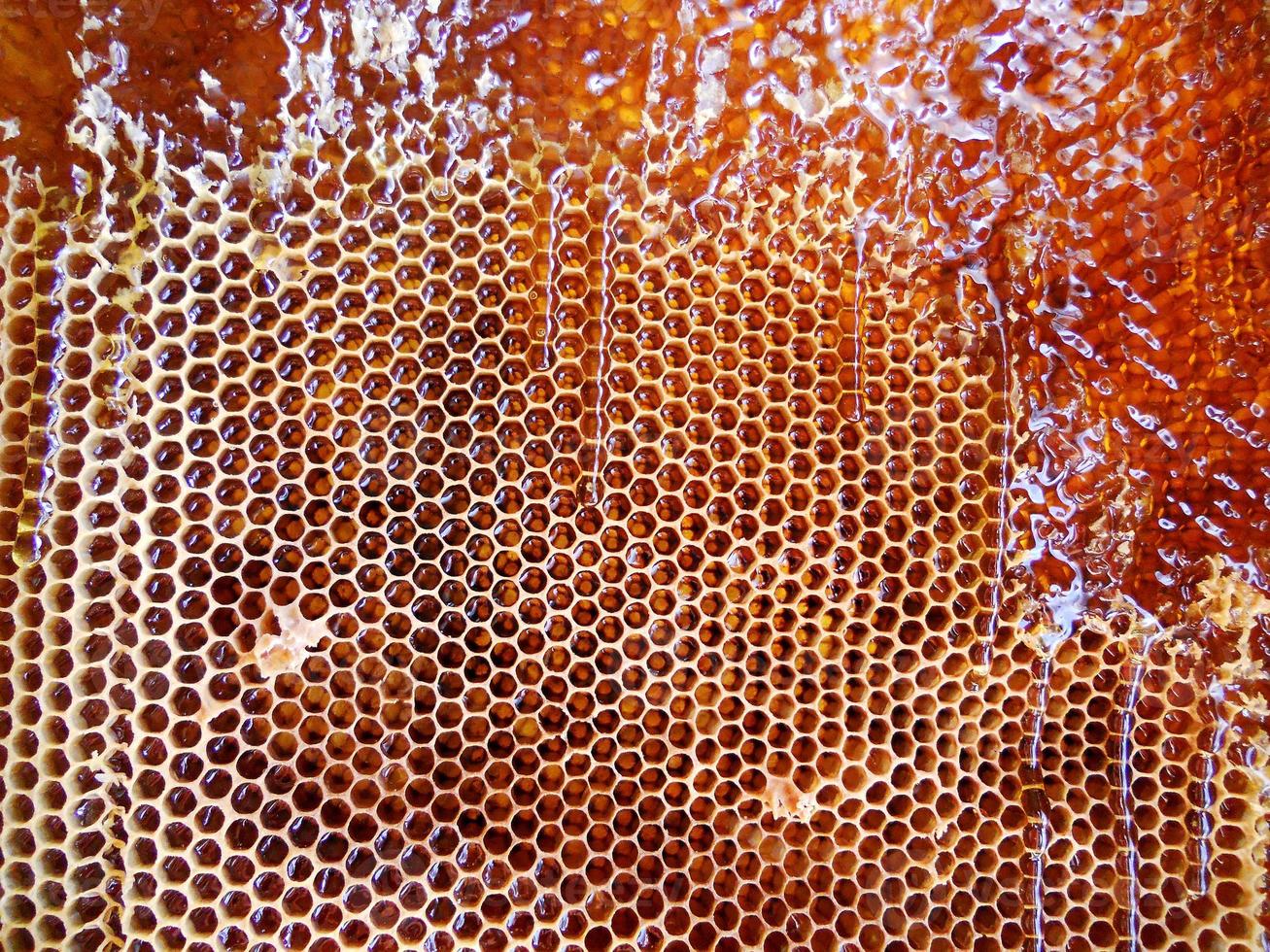 Hintergrund Sechseck Textur, Wachswabe aus einem Bienenstock foto