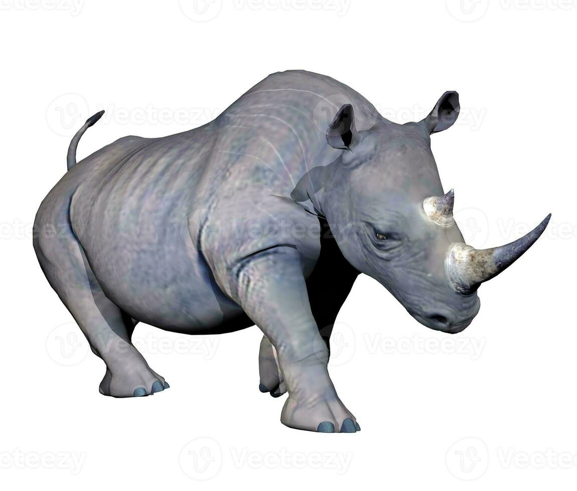 Nashorn Laden - - 3d machen foto