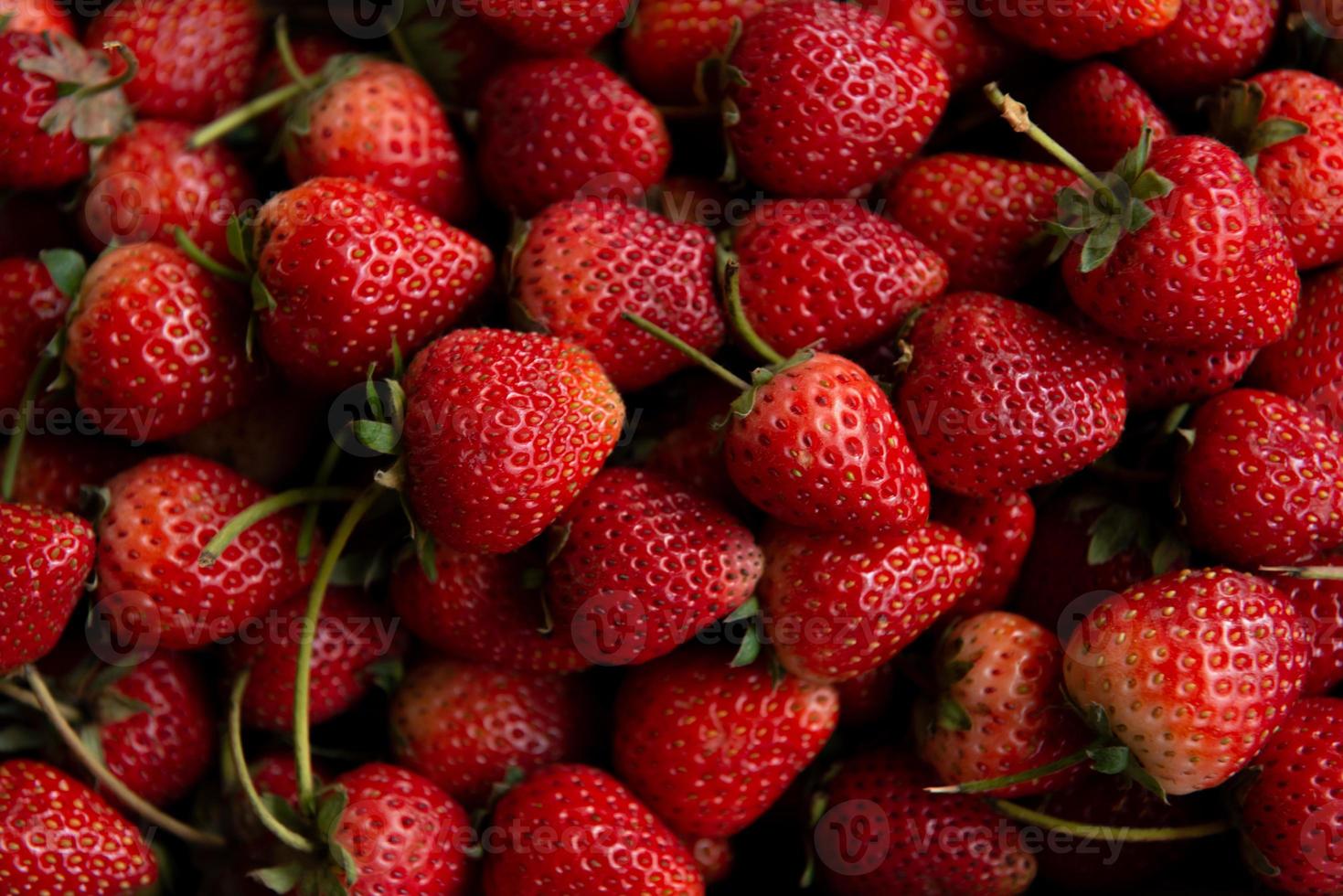 Erdbeer-Hintergrundbild foto