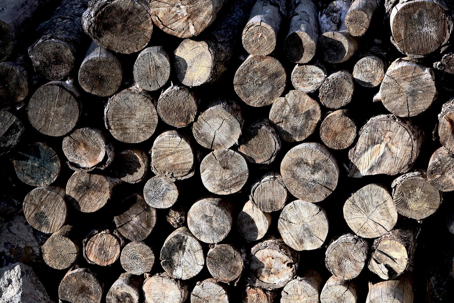 riesiger Haufen geschnittener Holzstämme foto