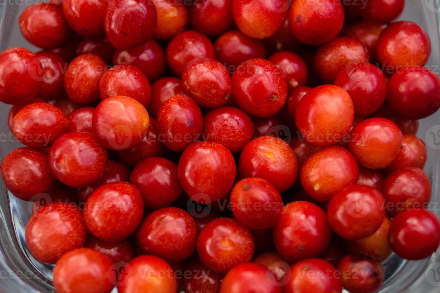 Viburnum rote Beeren foto