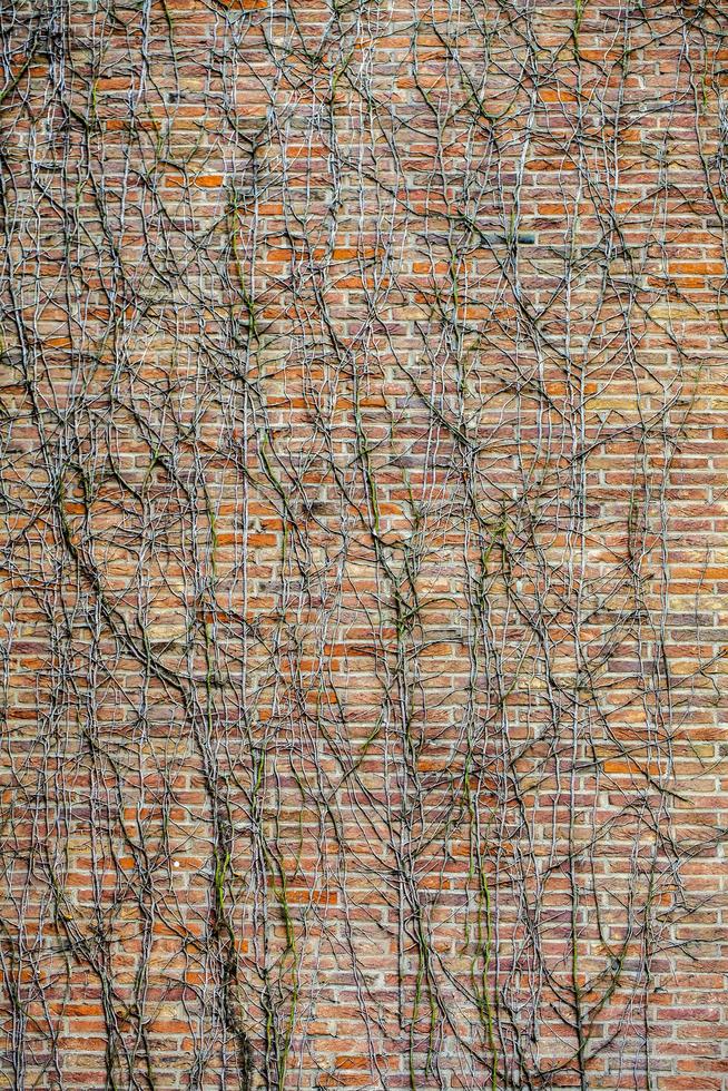 Grunge Steinmauer Hintergrundtextur foto