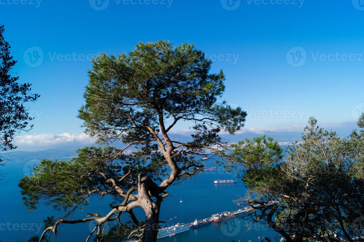 Gibraltar der Affenfelsen im Mittelmeer foto