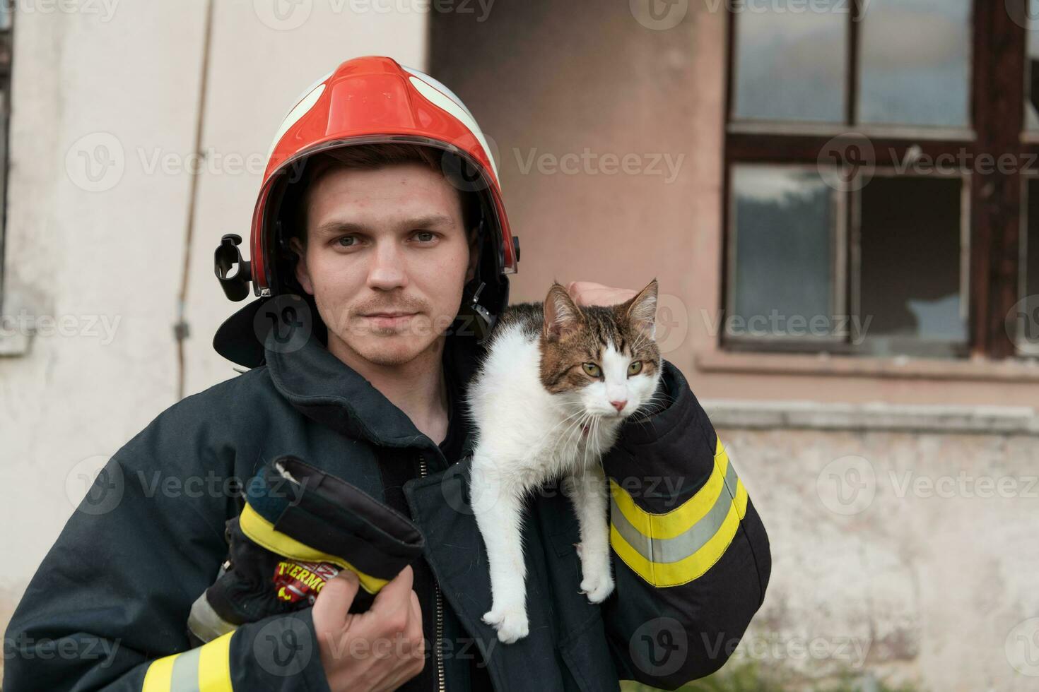 Nahansicht Porträt von heroisch Feuerwehrmann im schützend passen und rot Helm hält Gerettet Katze im seine Waffen. Feuerwehrmann im Feuer Kampf Betrieb. foto