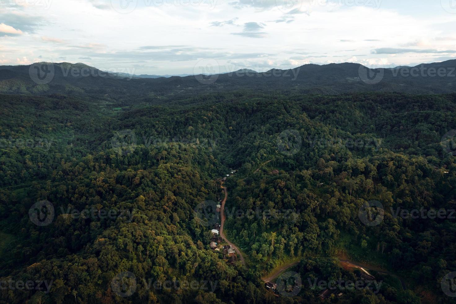 Berge und grüner Wald am Abend foto