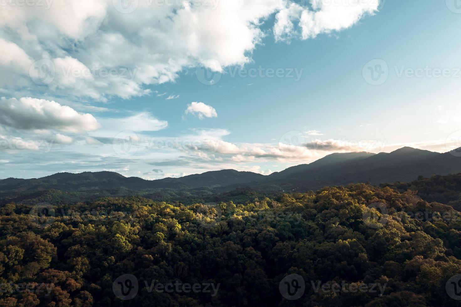 Berge und grüner Wald am Abend foto