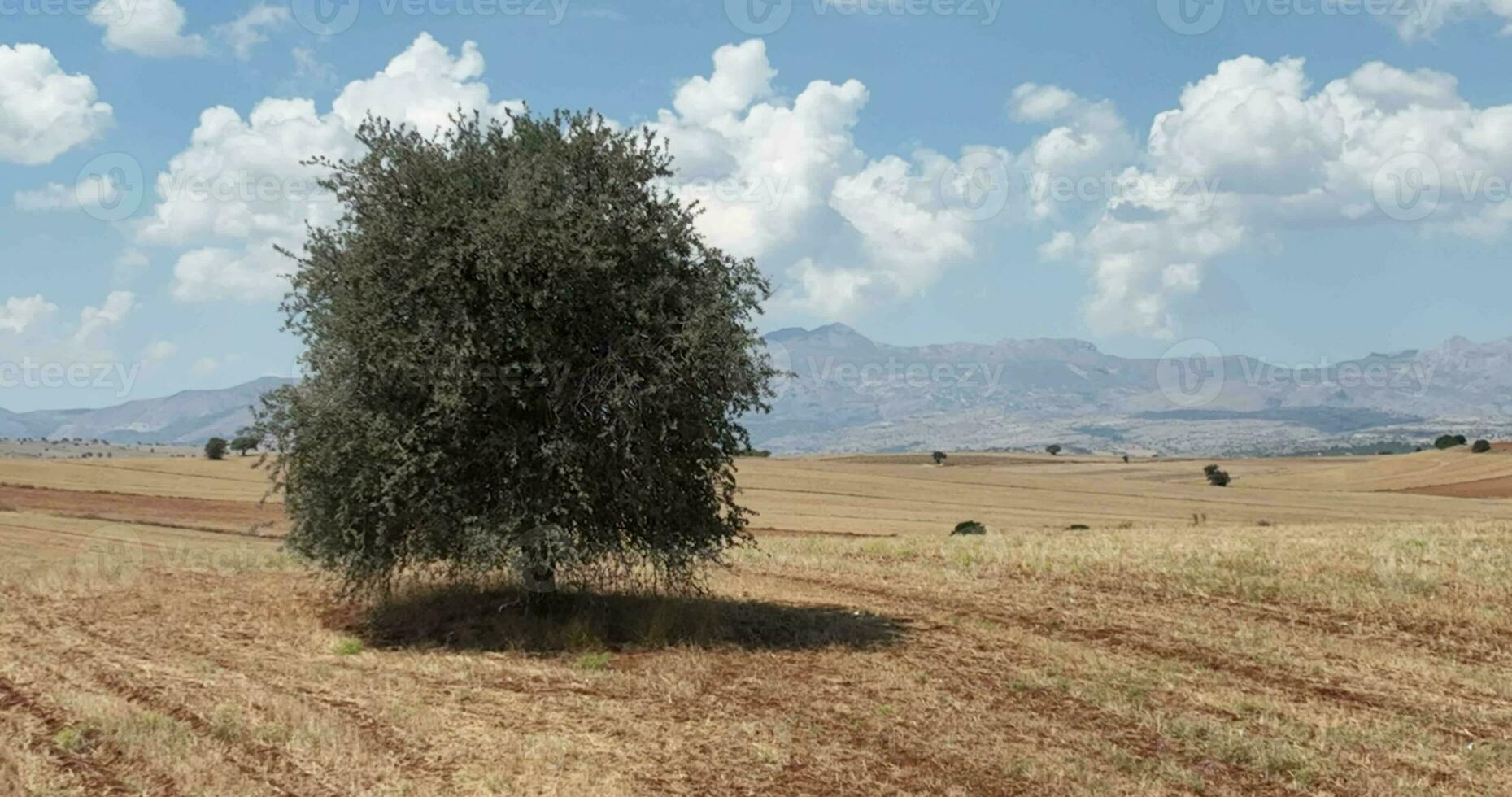 Bauernhof Felder Hintergrund Textur 4 k Antenne Aussicht 4k Truthahn Antalya foto