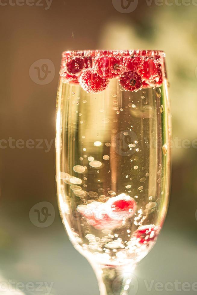 Sekt im Glas mit roten Johannisbeeren foto