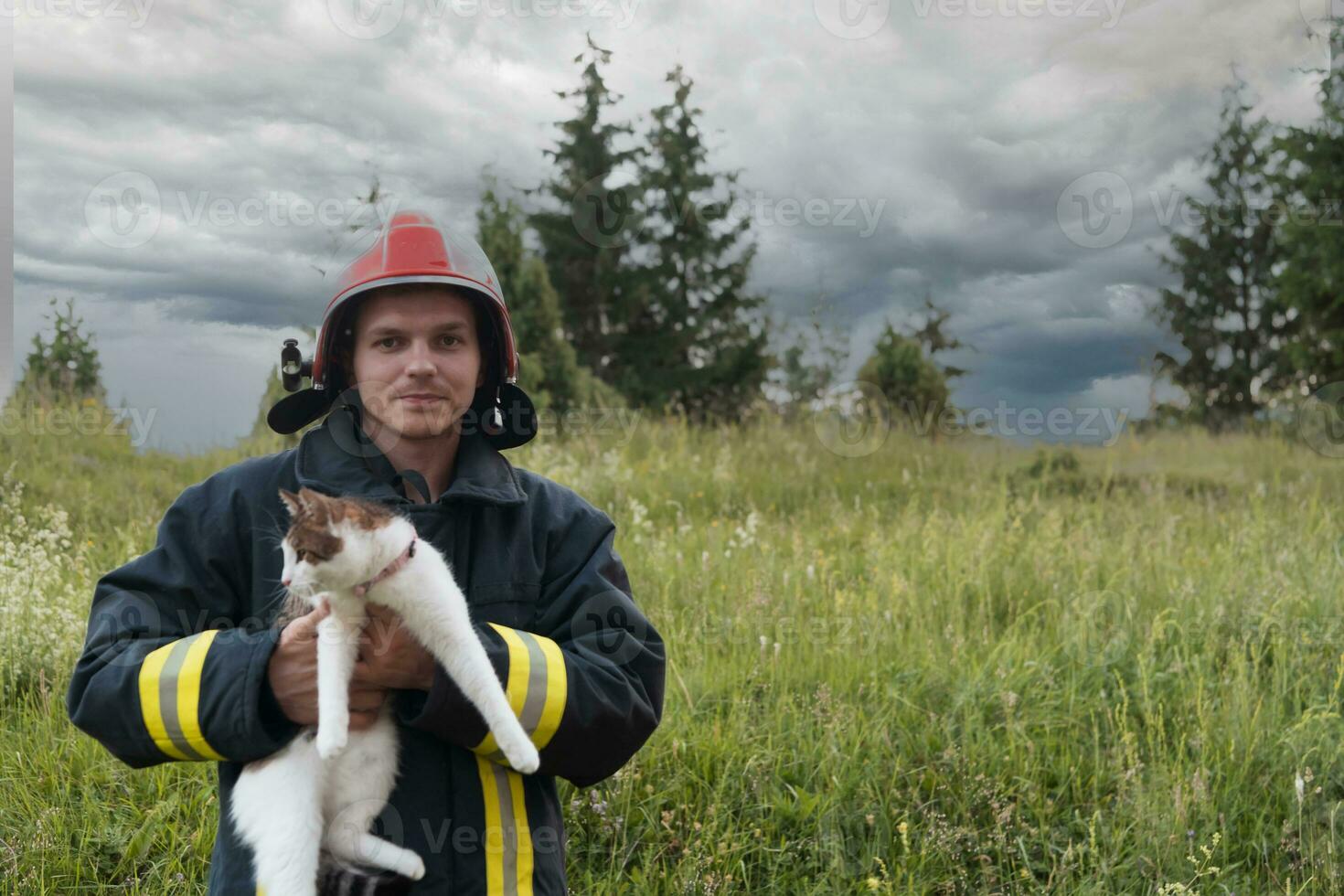 Nahansicht Porträt von heroisch Feuerwehrmann im schützend passen und rot Helm hält Gerettet Katze im seine Waffen. Feuerwehrmann im Feuer Kampf Betrieb. foto