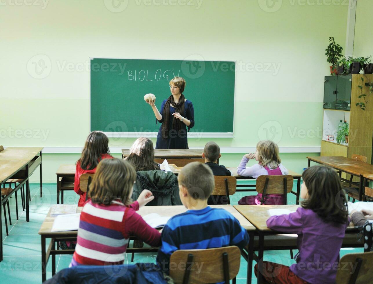 Biologie in der Schule lernen foto