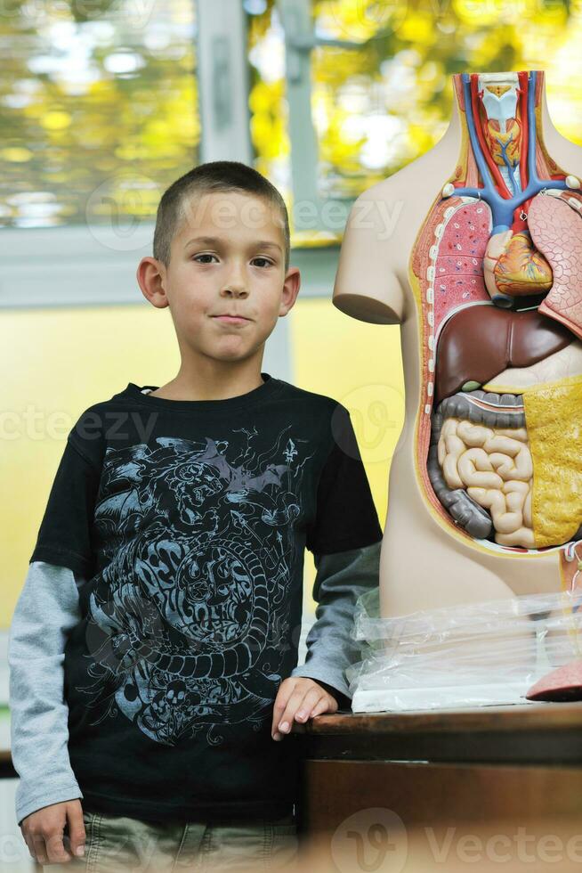 Biologie in der Schule lernen foto