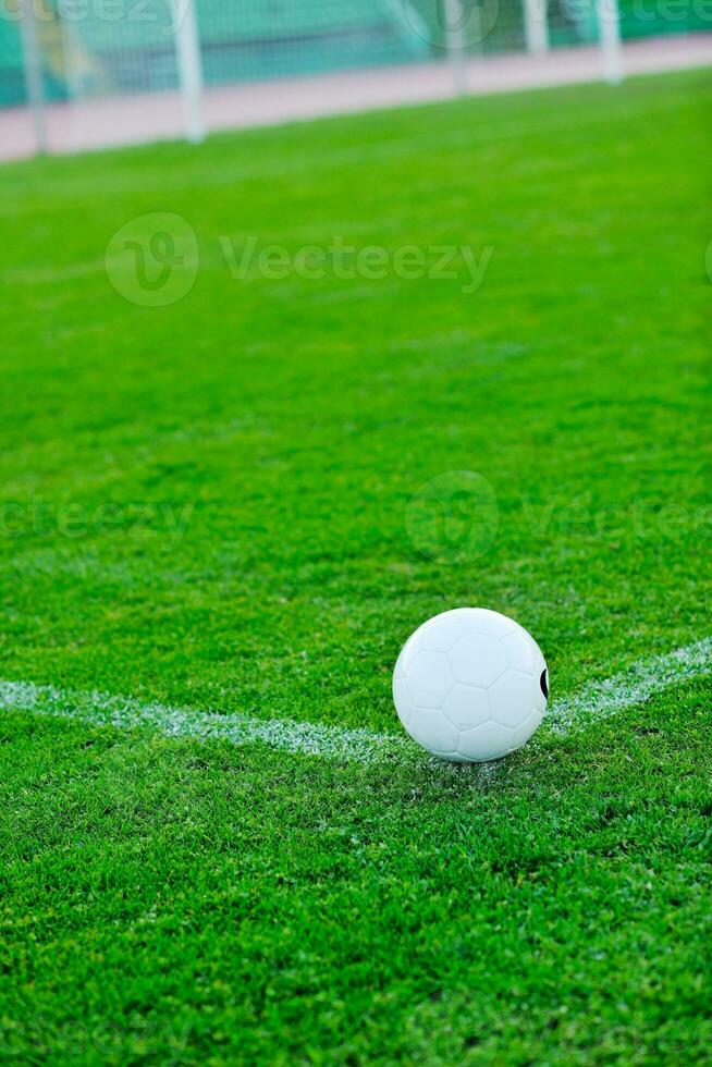 Fußball auf Gras am Tor und im Stadion im Hintergrund foto