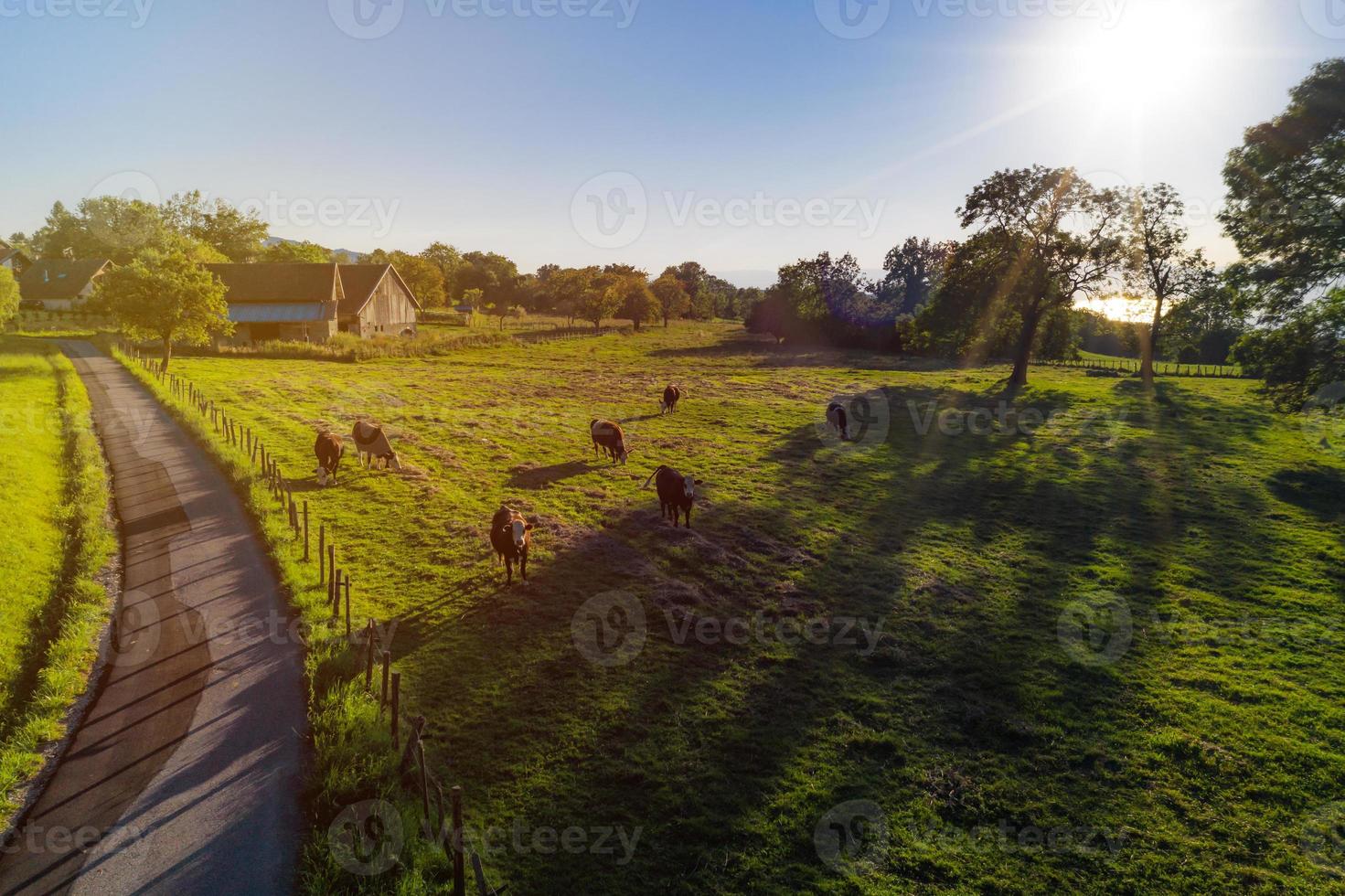 Genfer See Luftpanoramablick von der Drohne foto