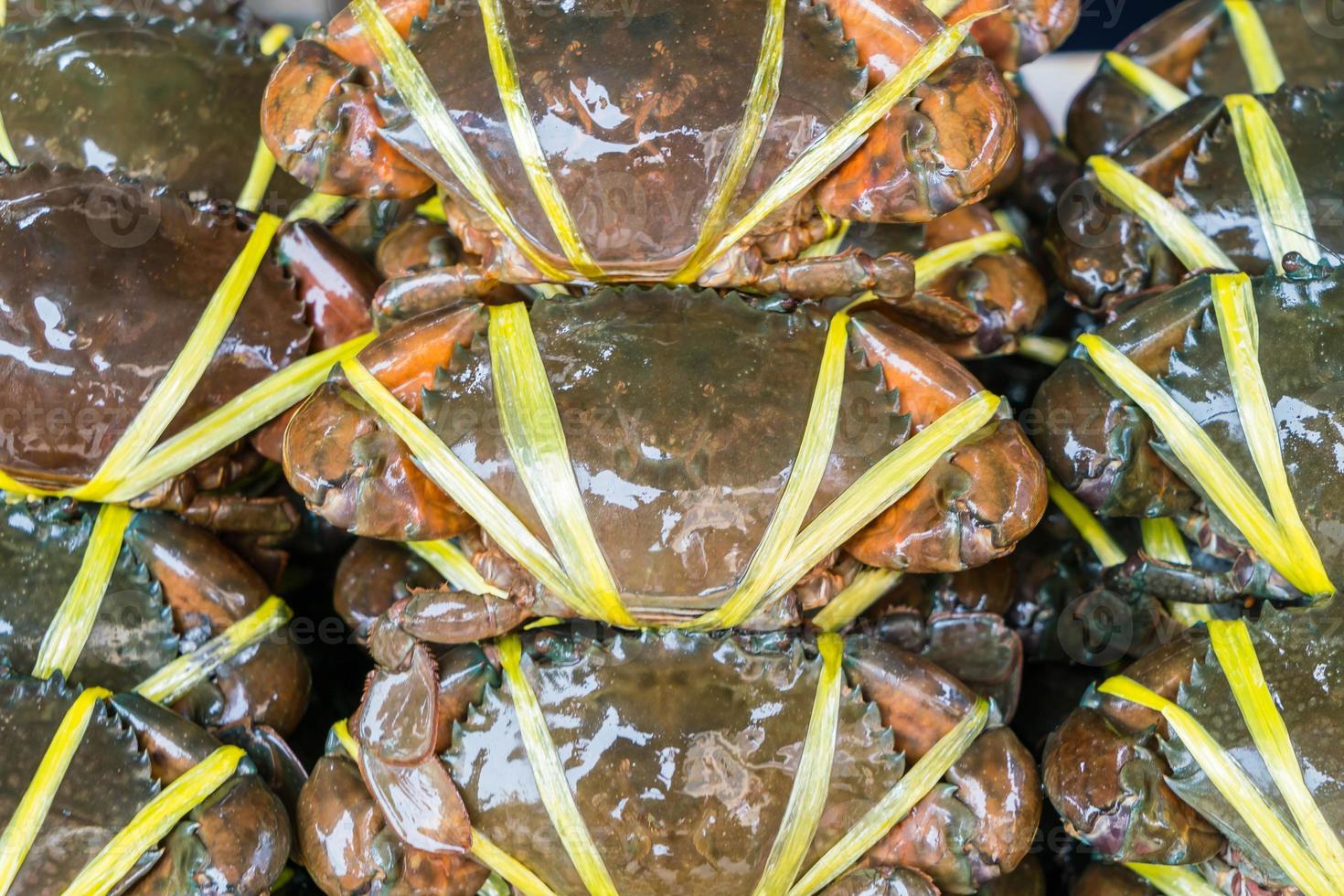 frische schwarze Krabben auf dem Markt foto