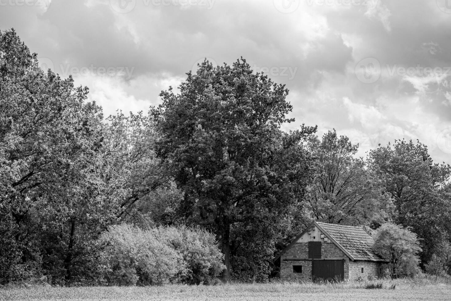 Sommerzeit in Westfalen foto