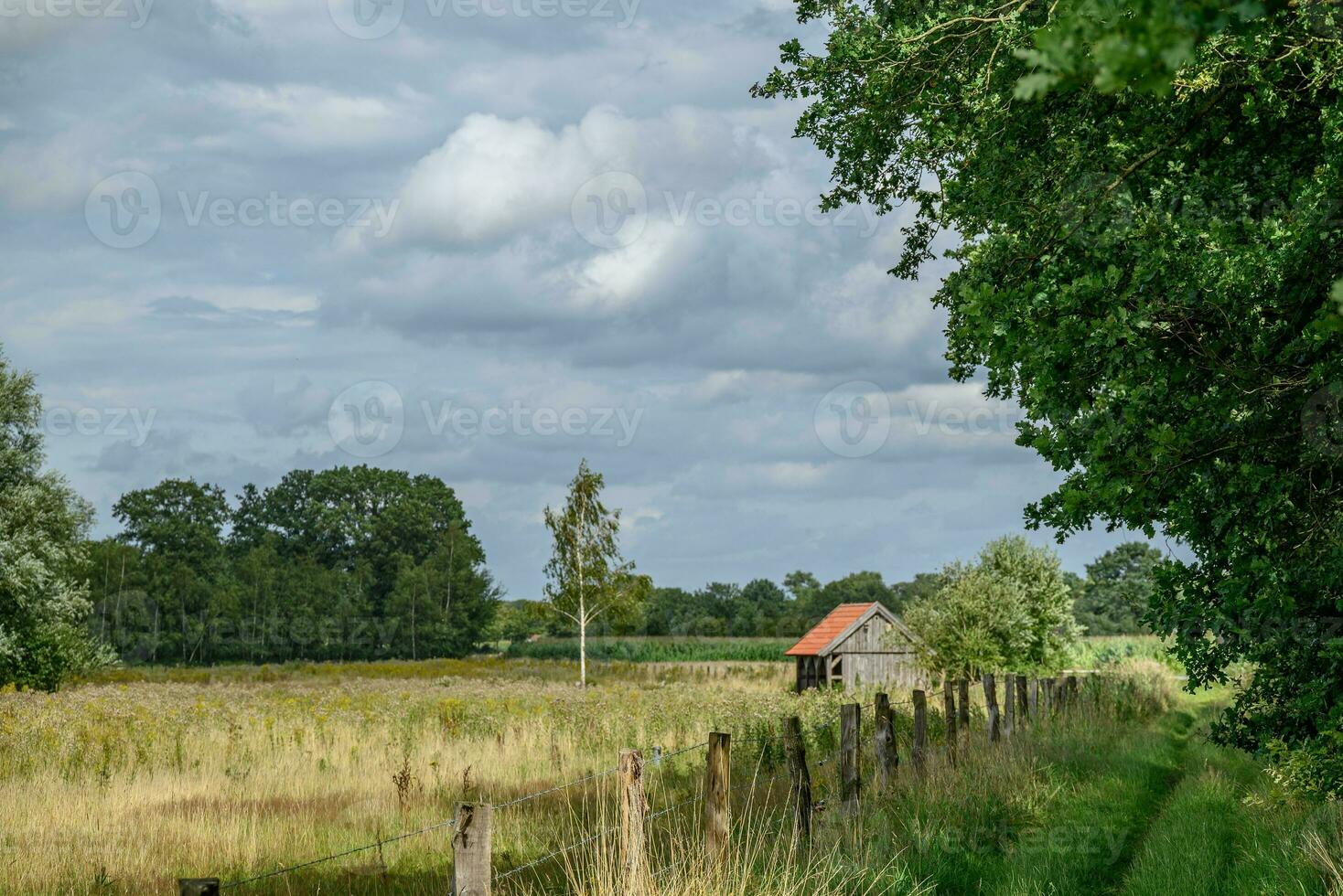 spät Sommer- im Westfalen foto