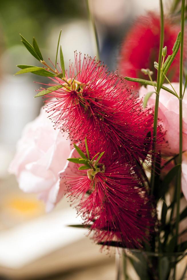 bunte leben romantische Flora Blumen und Blätter foto