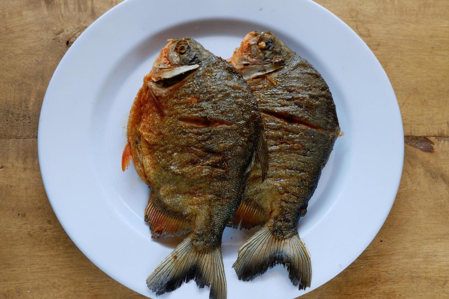 Pomfret auf weißem Teller mit Holztisch foto