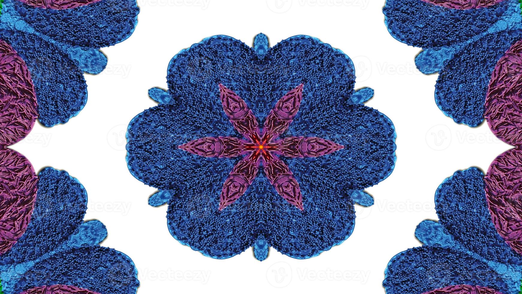 Blumen Flora Kaleidoskop foto