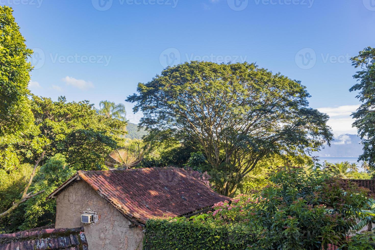 Natur auf der tropischen Insel Ilha Grande, Brasilien foto