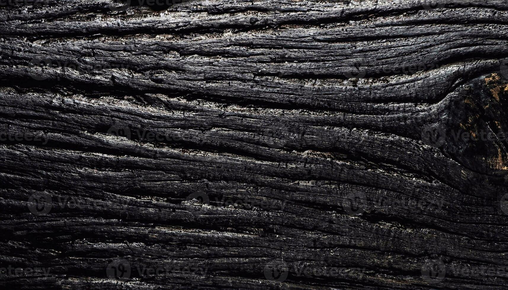Makro Foto von schwarz Holz Oberfläche mit Holz Textur