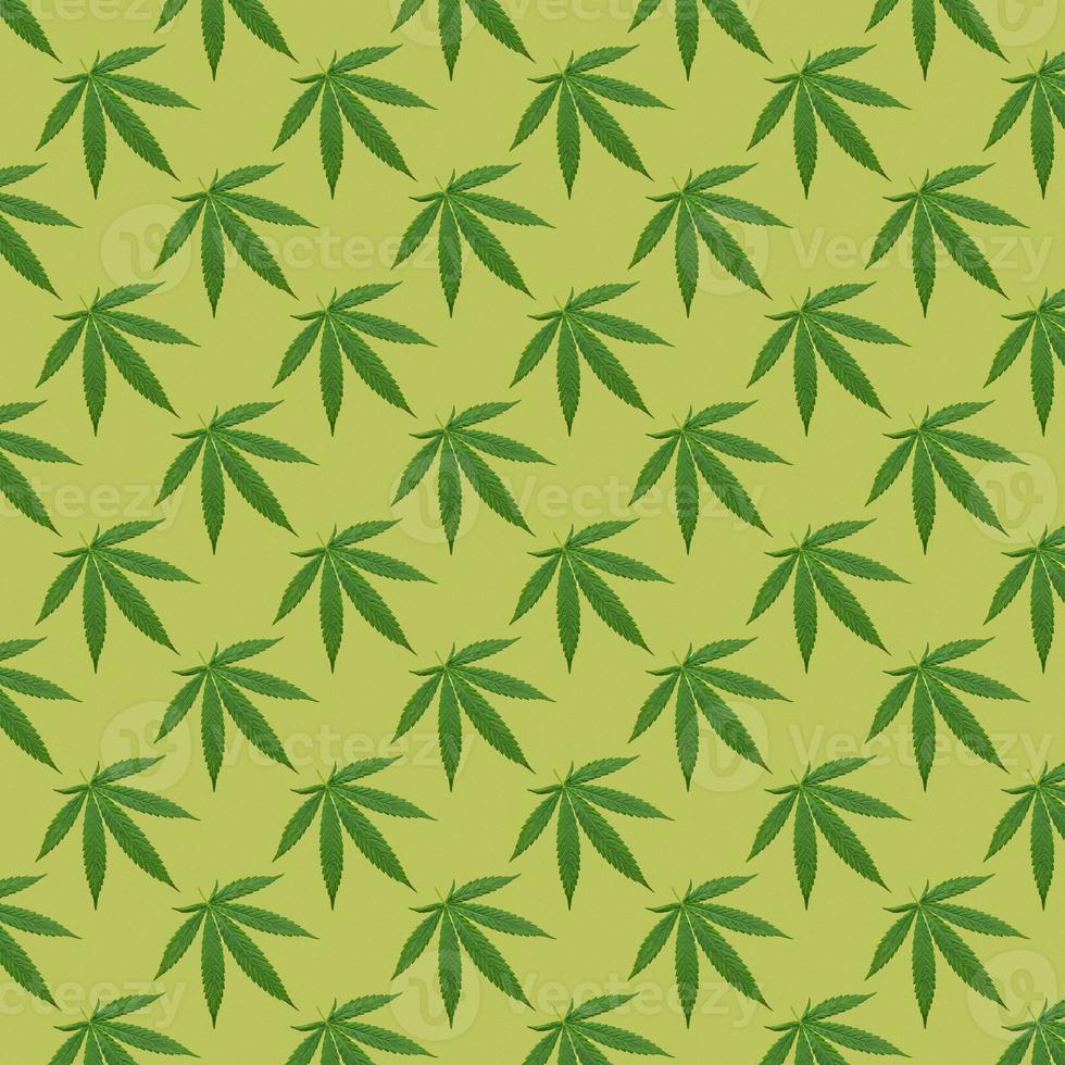 Hanf oder Cannabis hinterlässt ein nahtloses Muster. foto