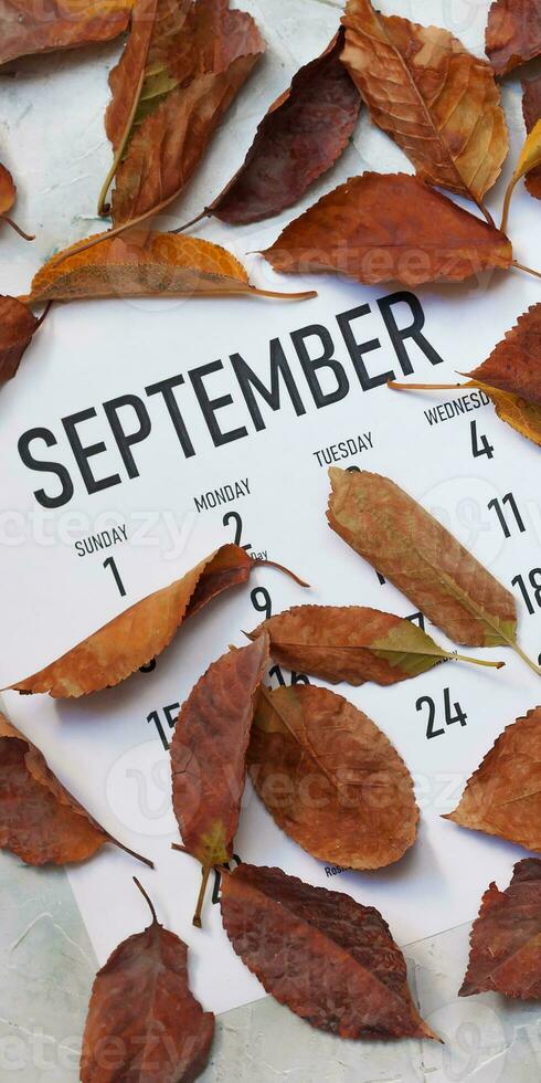 monatlich September 2019 Kalender foto