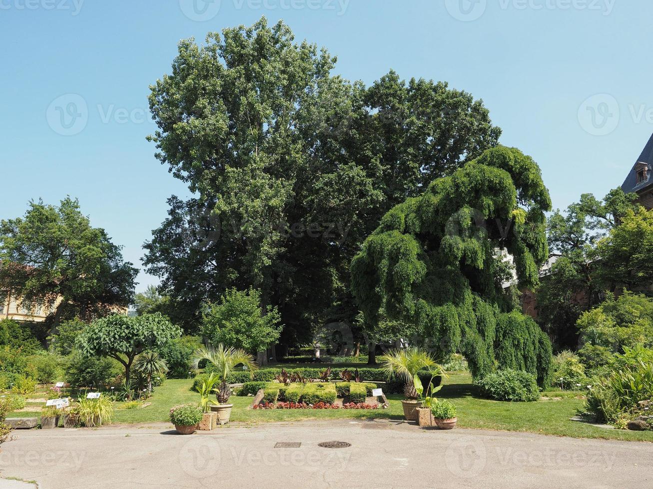 Botanischer Garten in Turin foto