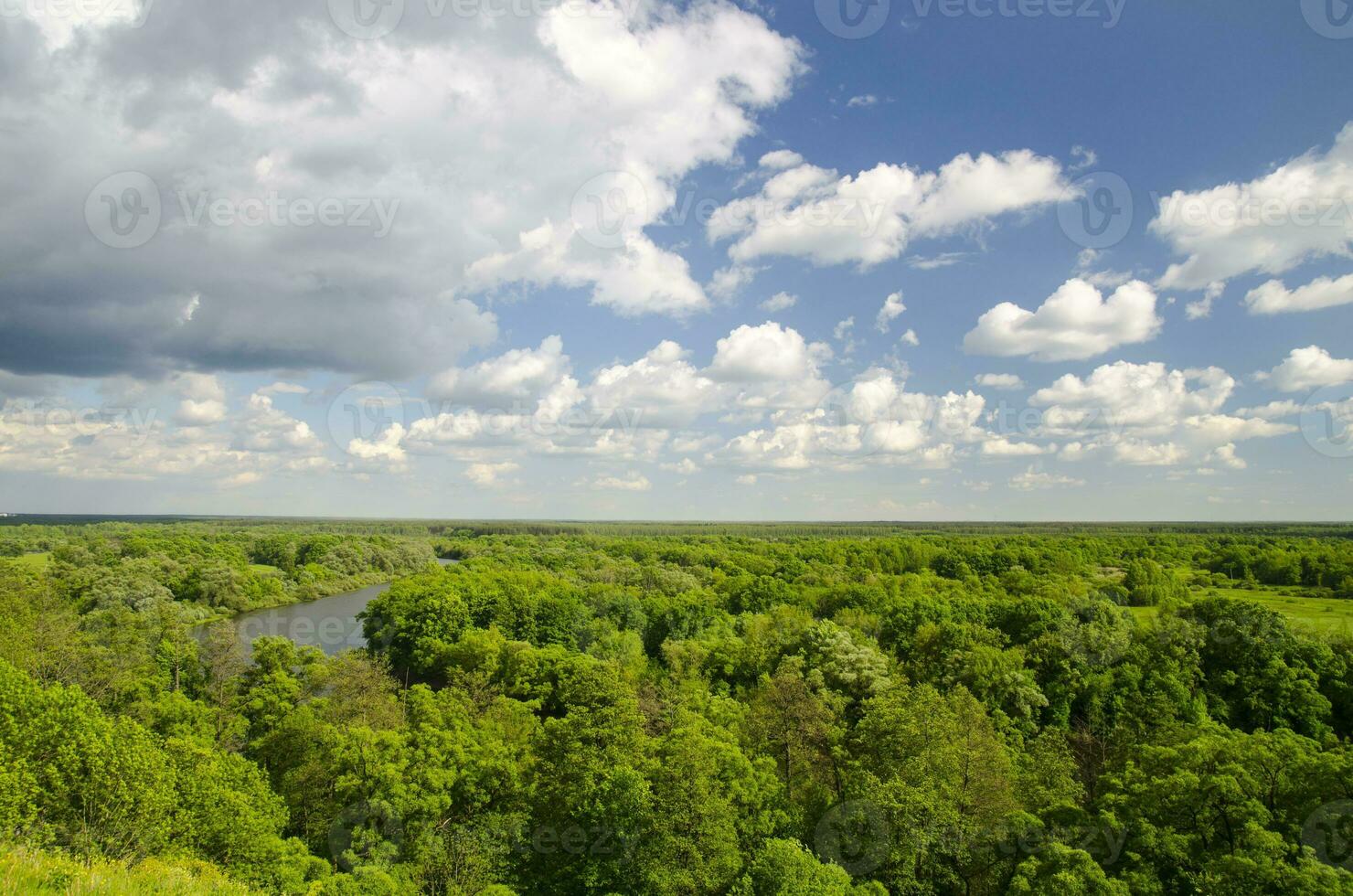 Grün Sommer- Wald, Fluss und Weiß Wolken foto