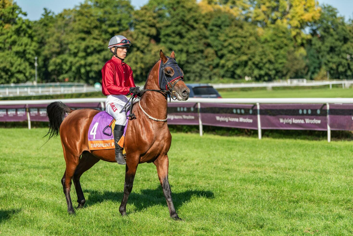 Breslau, Polen - - sep 10, 2023 - - Jockeys im Wettbewerb auf Breslau Rennen Spur foto