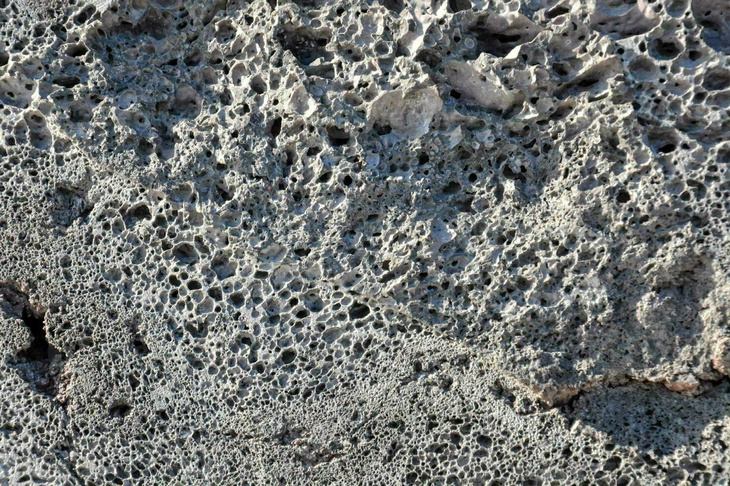 ein schließen oben von ein Felsen mit Löcher im es foto