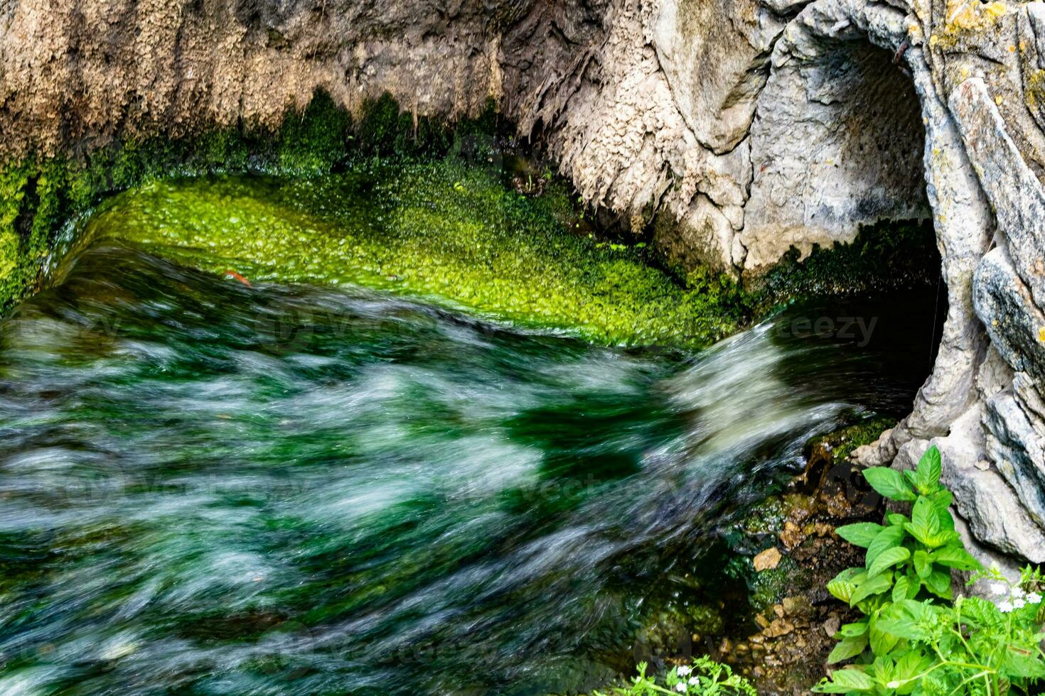 Fotografie zum Thema schönes Fallwasser vom Gartenwasserfall foto