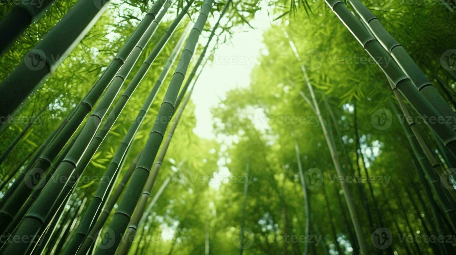 ein heiter Bambus Wald mit hoch und schlank Bäume ai generiert foto