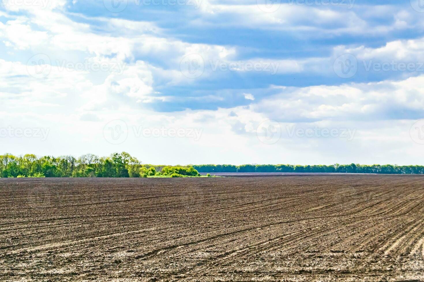 fotografie zum thema großes leeres bauernhoffeld für die organische ernte foto