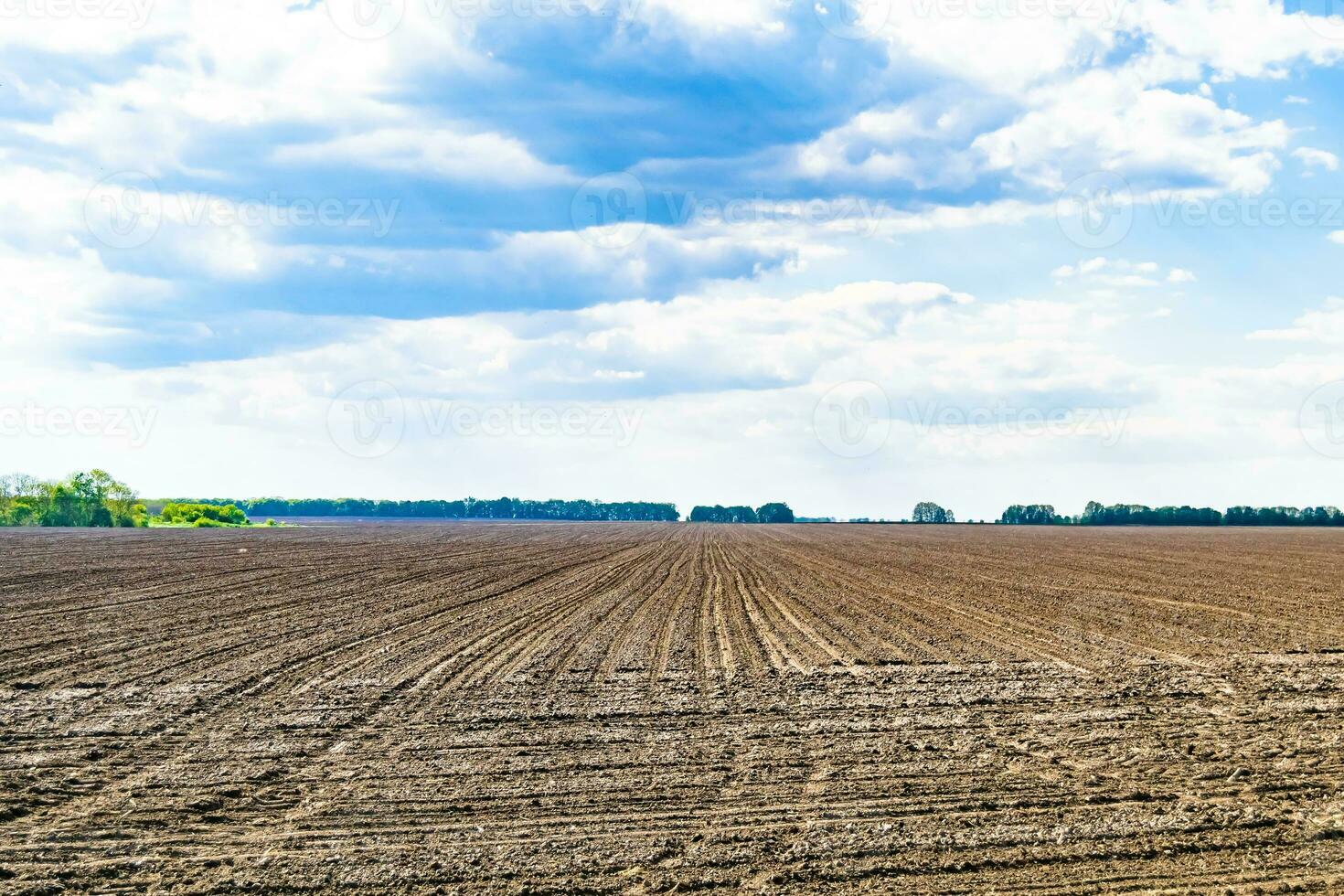 fotografie zum thema großes leeres bauernhoffeld für die organische ernte foto