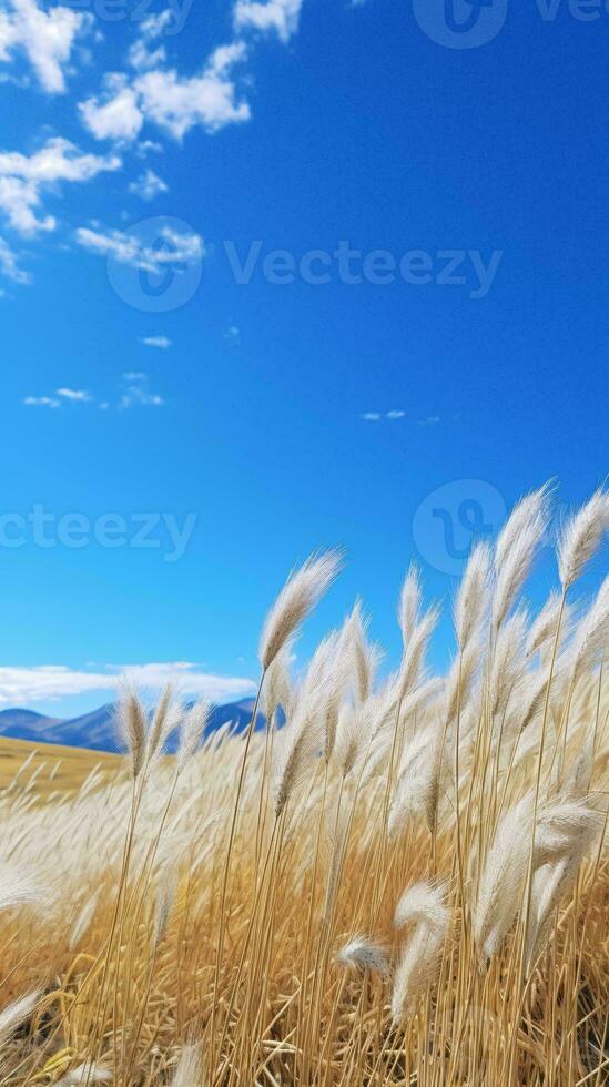 ein heiter Feld von hoch Gras unter ein schön Blau Himmel ai generiert foto