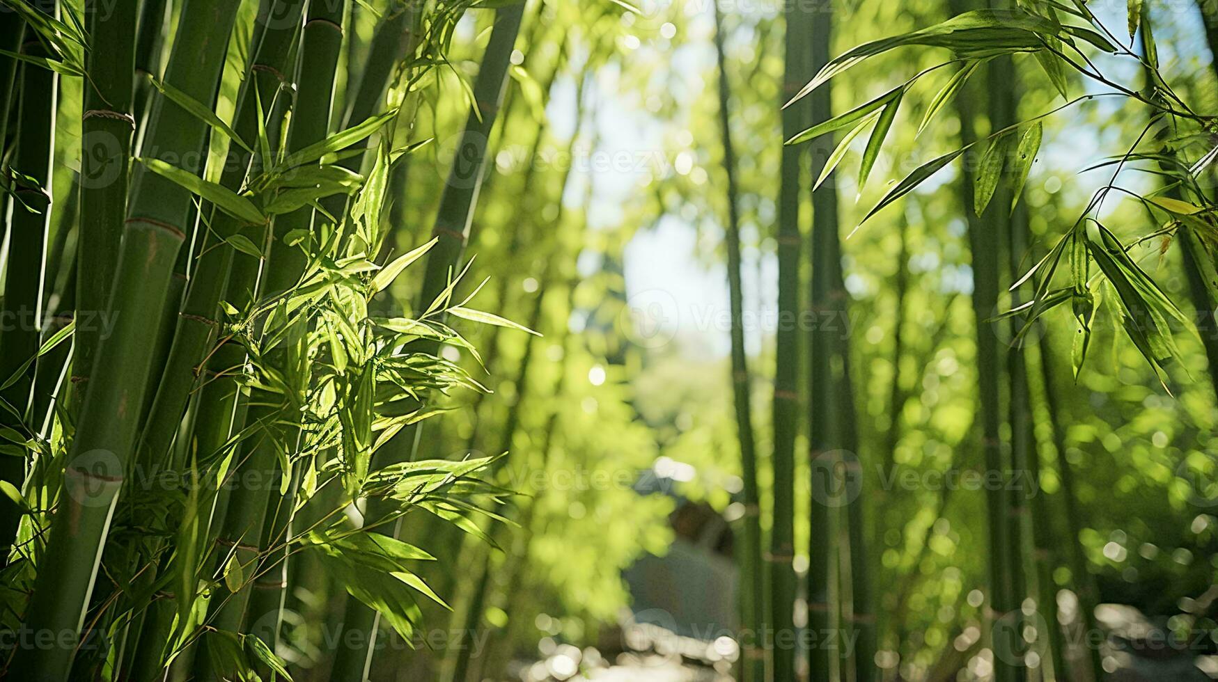 ein Mann Gehen durch ein heiter Bambus Wald ai generiert foto