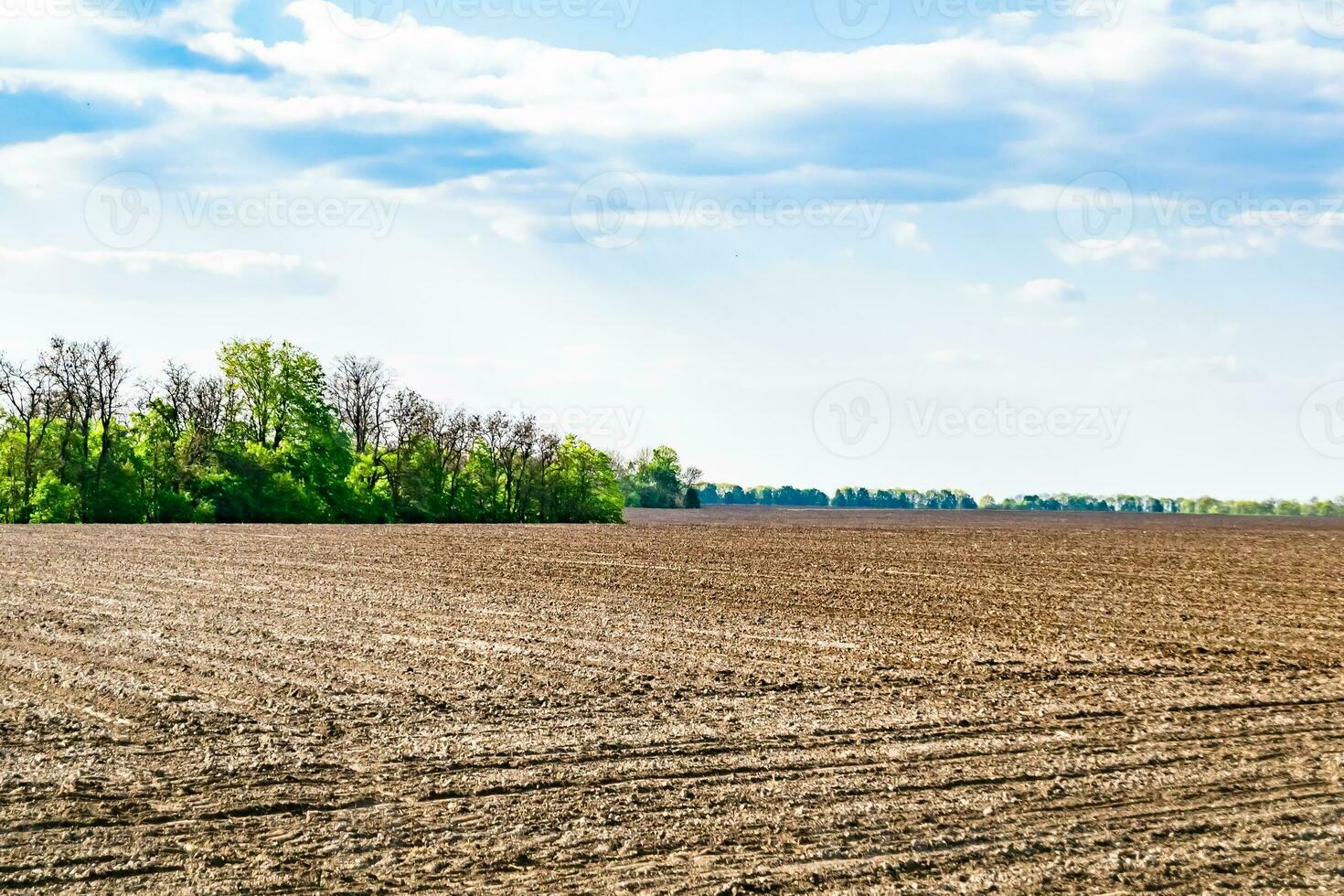 fotografie zum thema großes leeres bauernhoffeld für die organische ernte foto